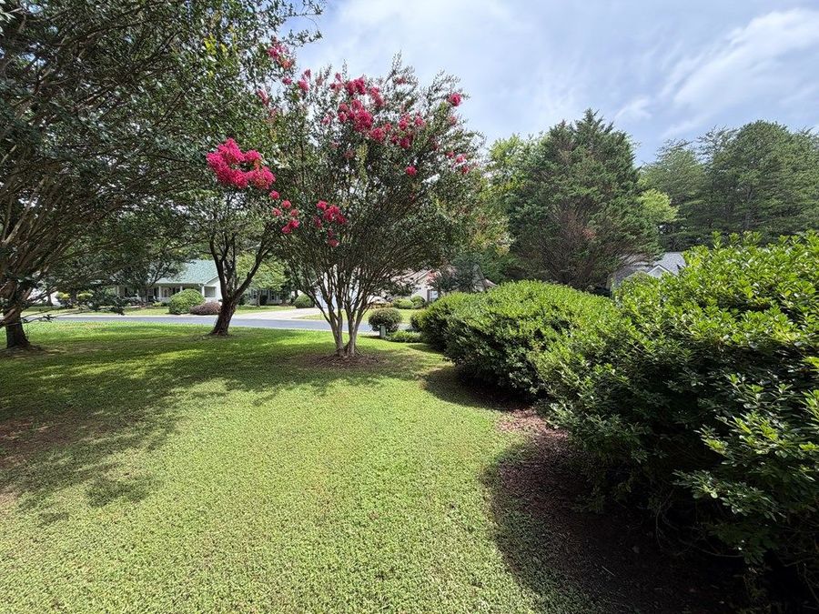 Property Image 58