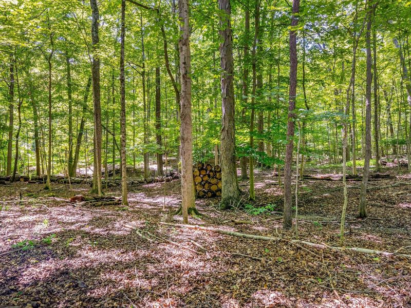 7319 Bridlespur Lane , Delaware, OH 43015 Photo 74