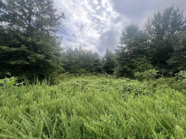 88 1661 Road , Corning, AR 72422