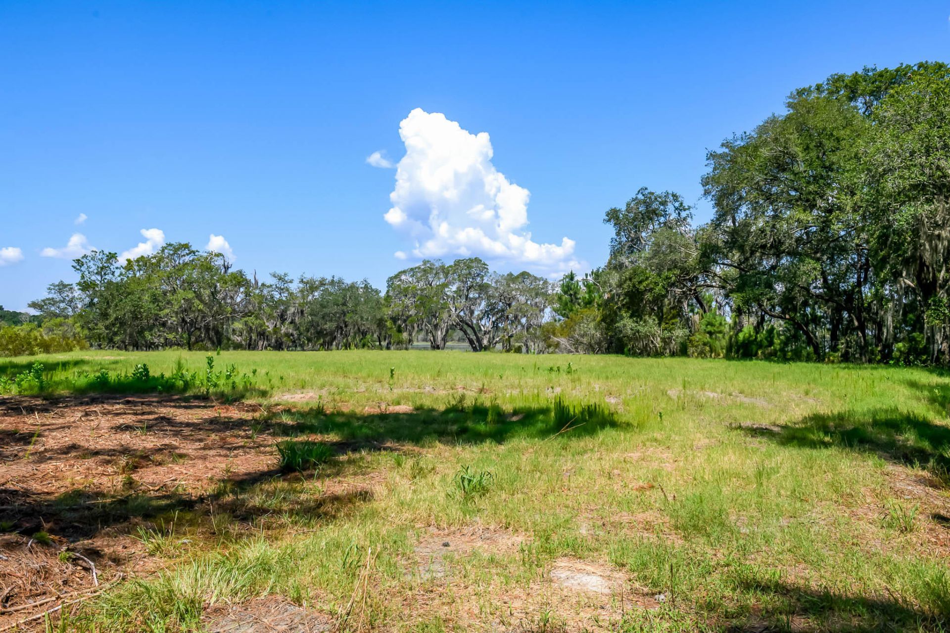 6258 Josie Ridge Road Photo 11