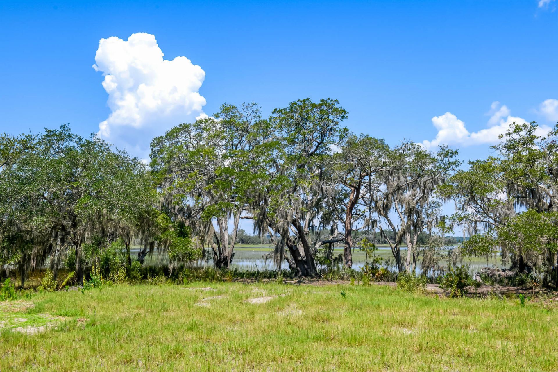 6258 Josie Ridge Road Photo 12