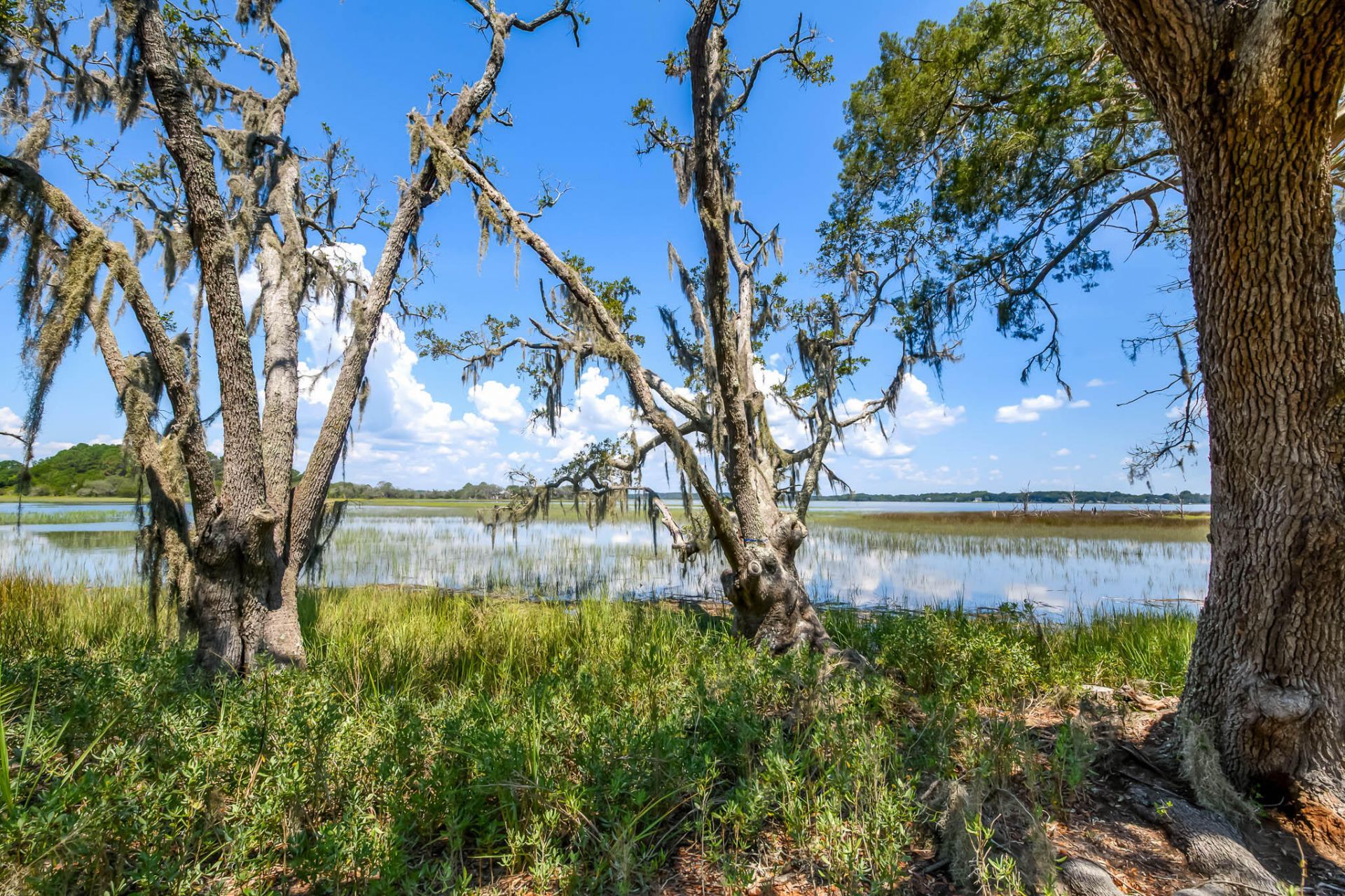 6258 Josie Ridge Road Photo 22