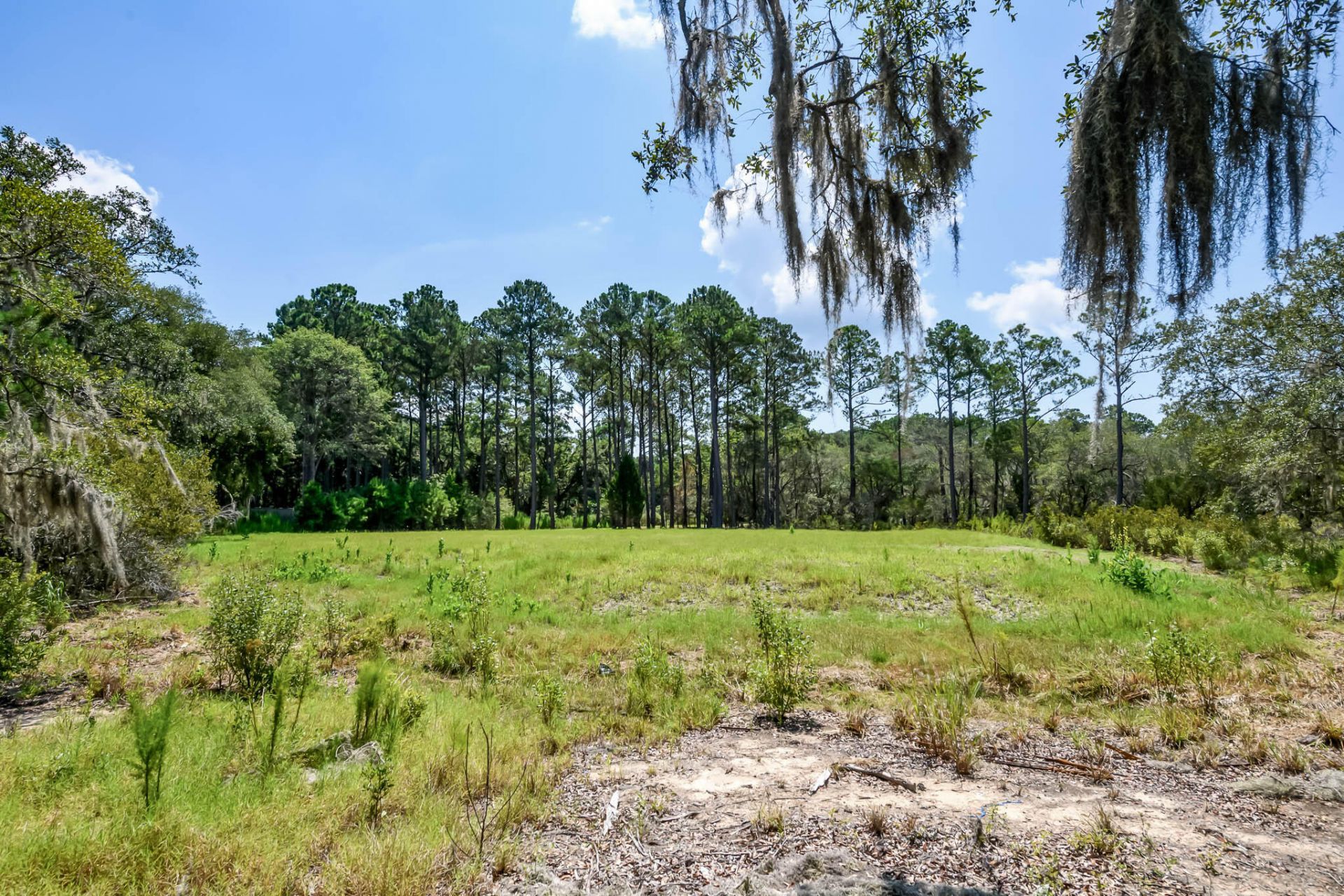 6258 Josie Ridge Road Photo 24
