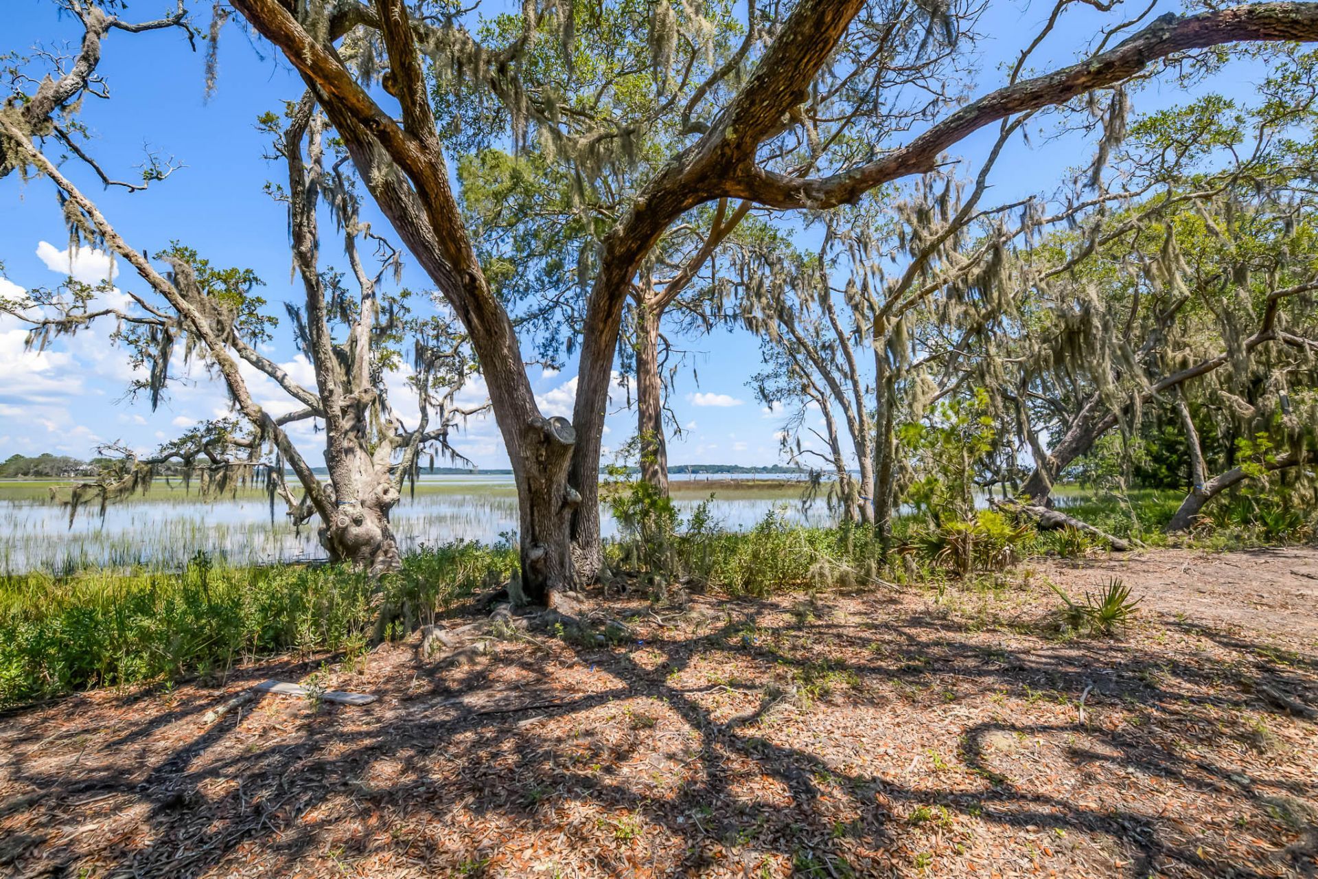6258 Josie Ridge Road Photo 28