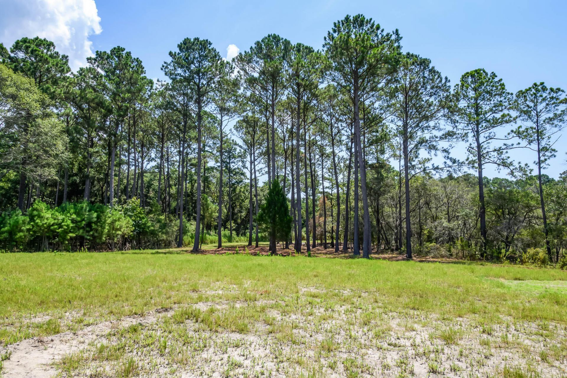 6258 Josie Ridge Road Photo 29