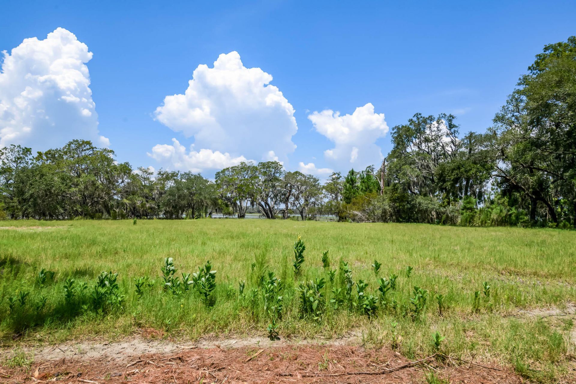 6258 Josie Ridge Road Photo 30