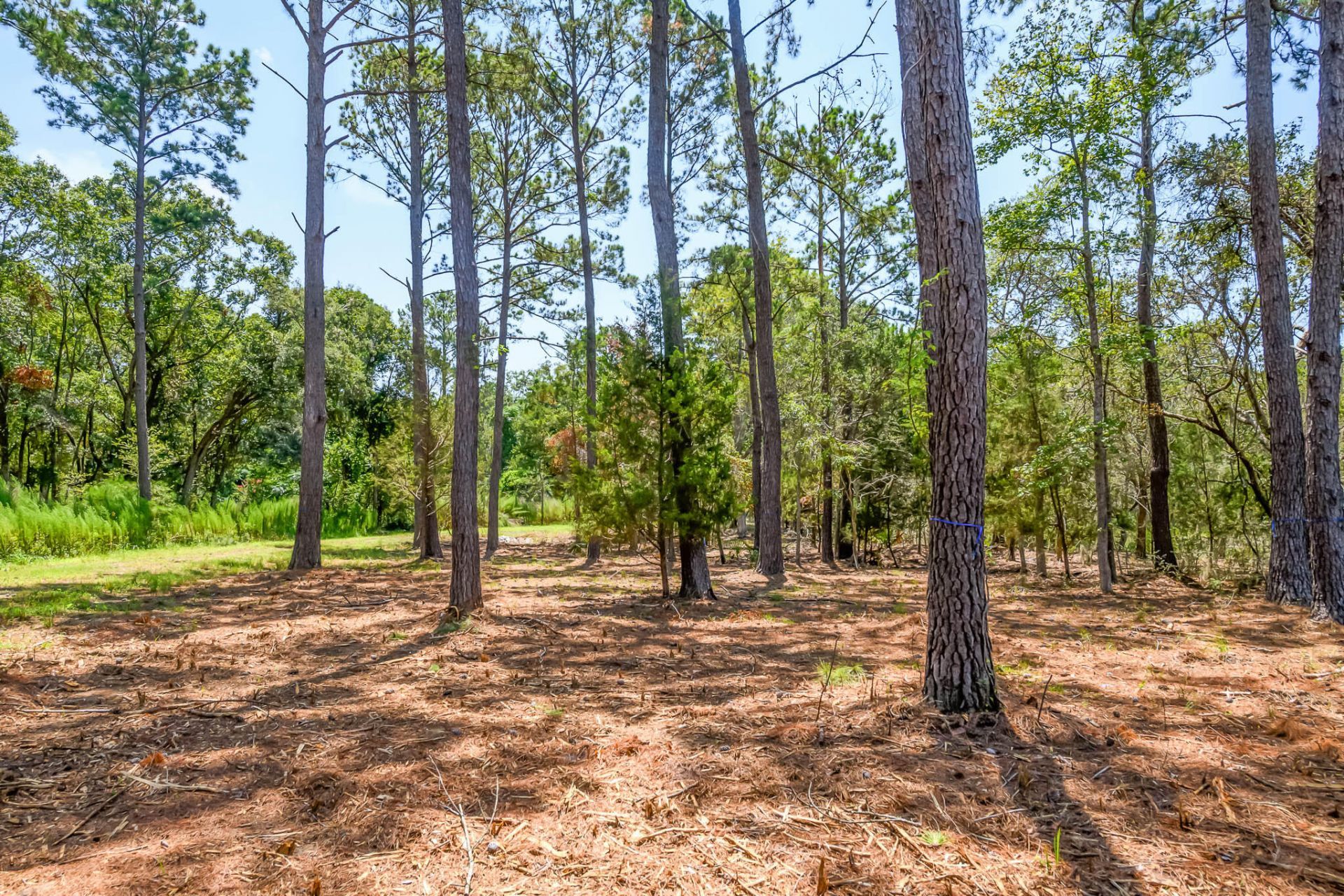 6258 Josie Ridge Road Photo 31
