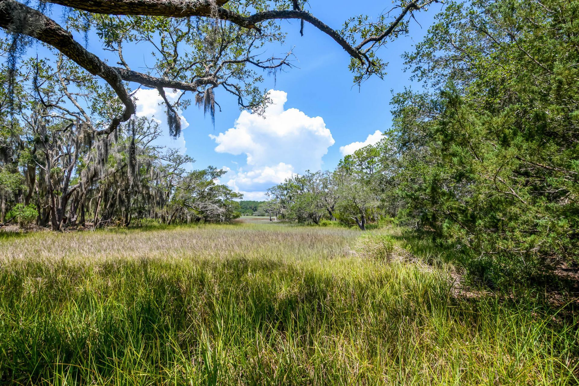 6258 Josie Ridge Road Photo 32