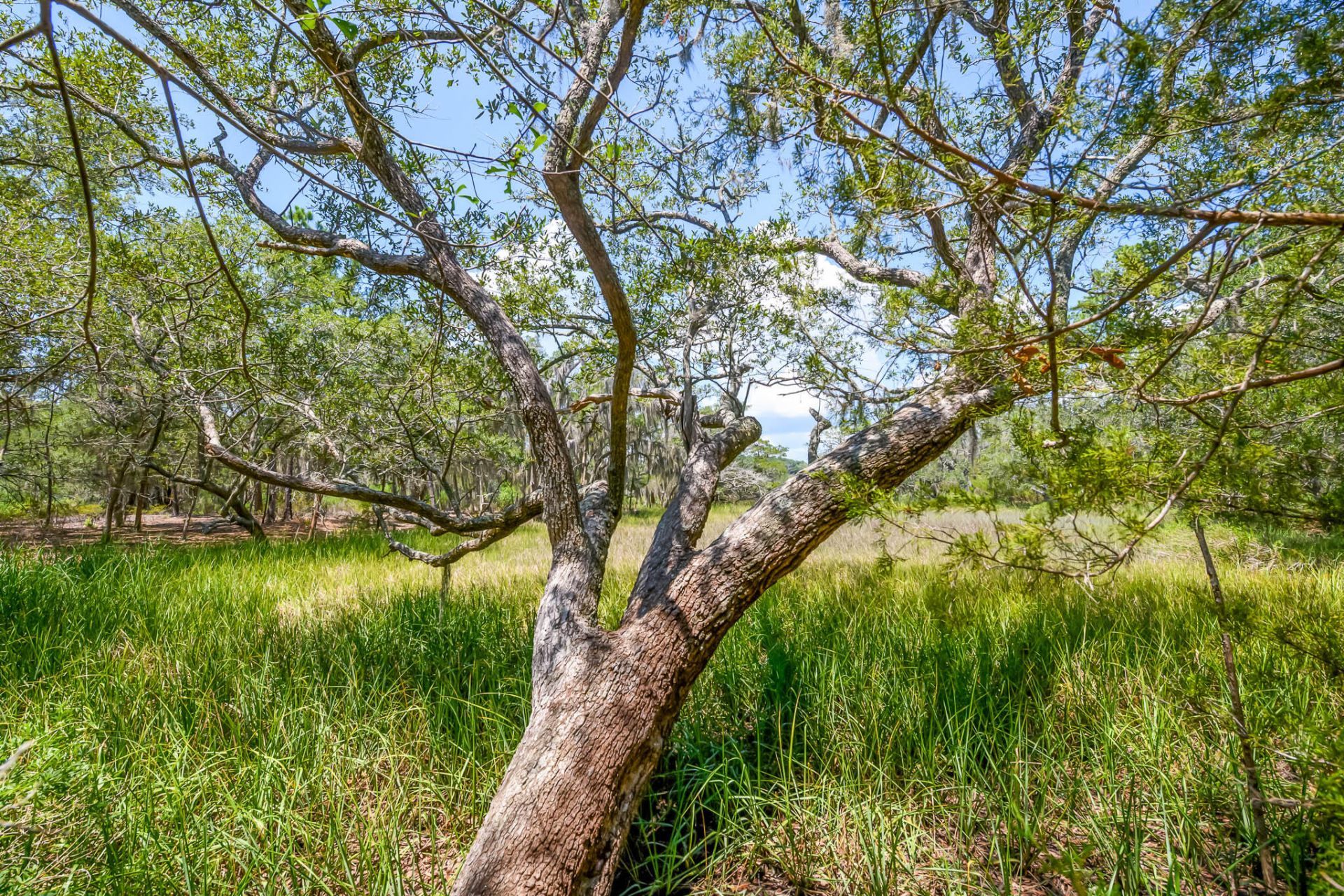 6258 Josie Ridge Road Photo 33