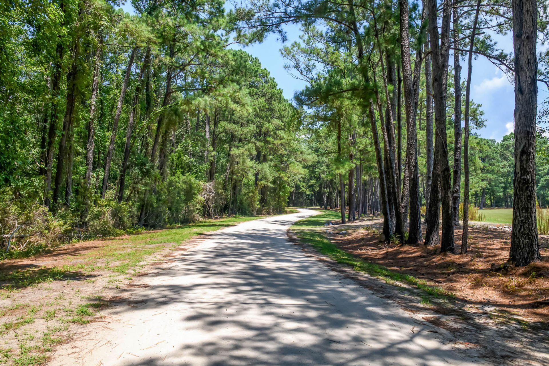 6258 Josie Ridge Road Photo 36