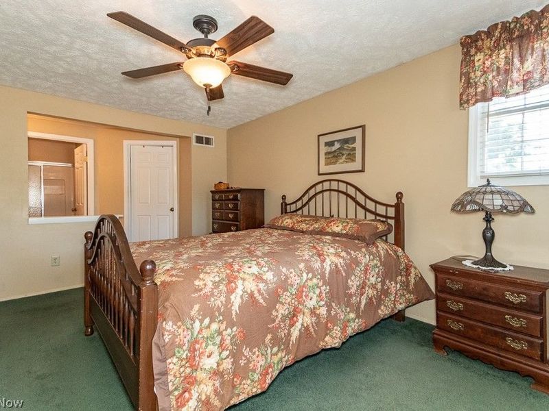 10219 Lola Court, Concord Township, OH 44077 Photo 12