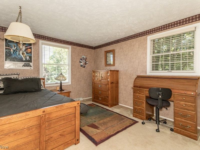 10219 Lola Court, Concord Township, OH 44077 Photo 17