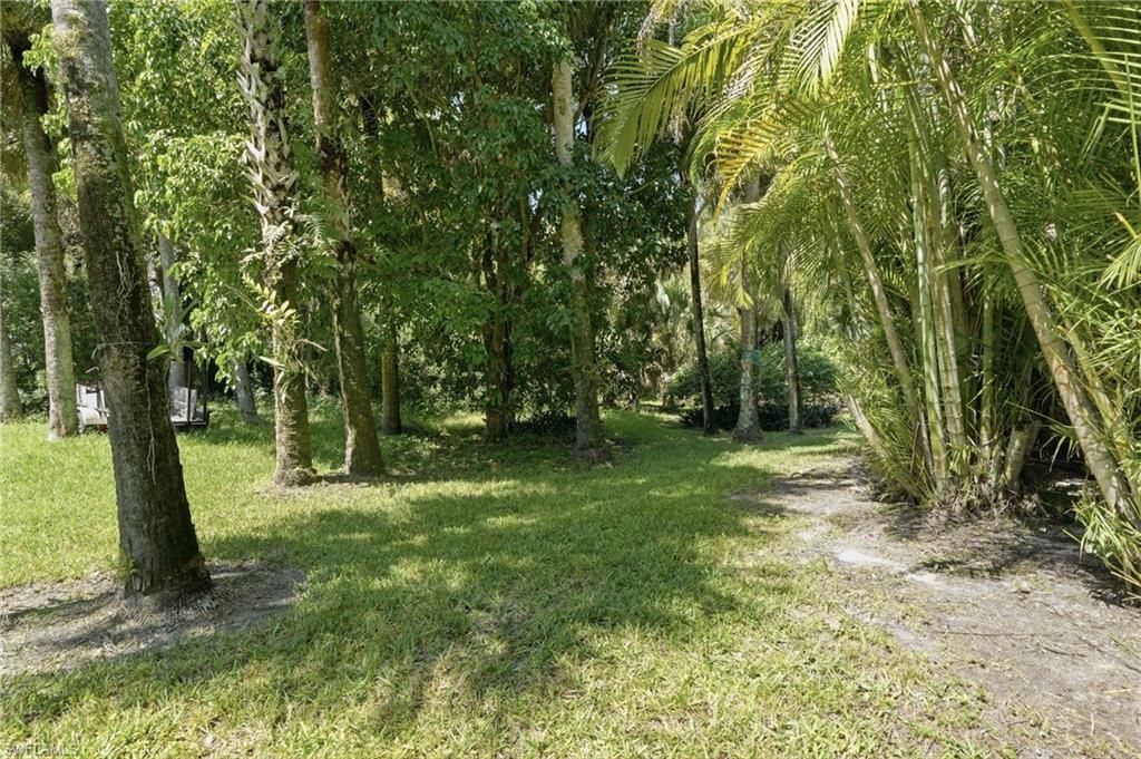 2604 E 6th St , Lehigh Acres, FL 33936 Photo