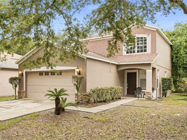 18126 BIRDWATER DRIVE, TAMPA, FL 33647