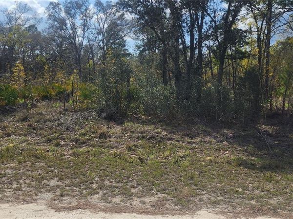 18043 RAMSEY ROAD , WEEKI WACHEE, FL 34614
