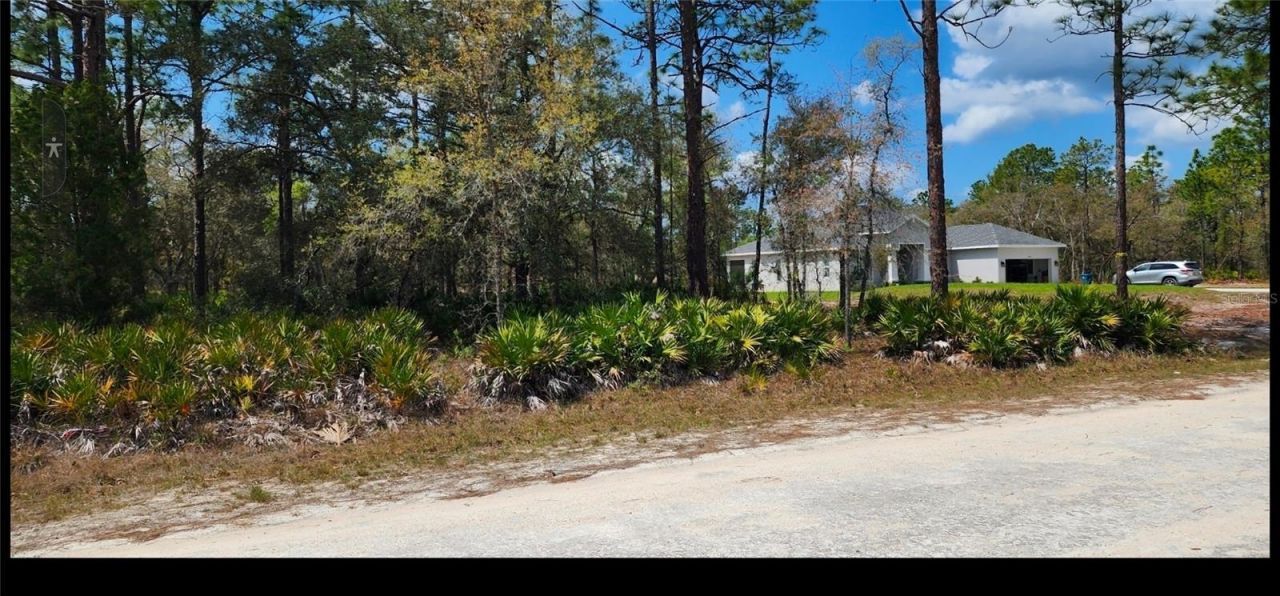 18099 Parakeet Road , Brooksville, FL 34614 Main Photo