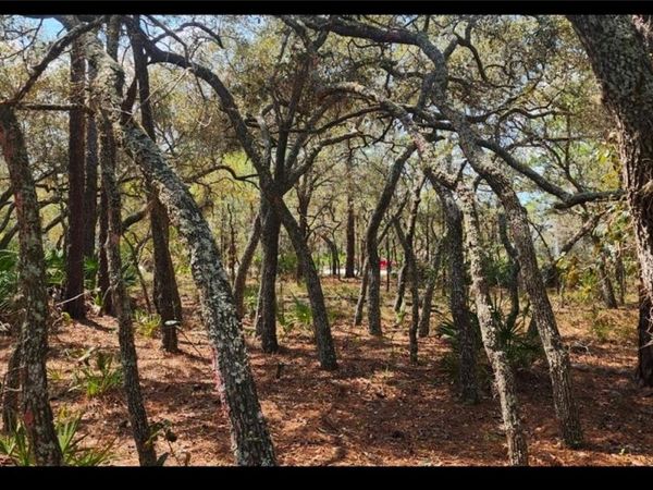 18106 PARAKEET ROAD , BROOKSVILLE, FL 34614