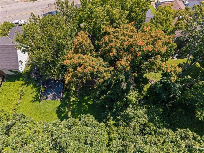 3542 Brotherton Road, Cincinnati, OH 45209 Photo 24
