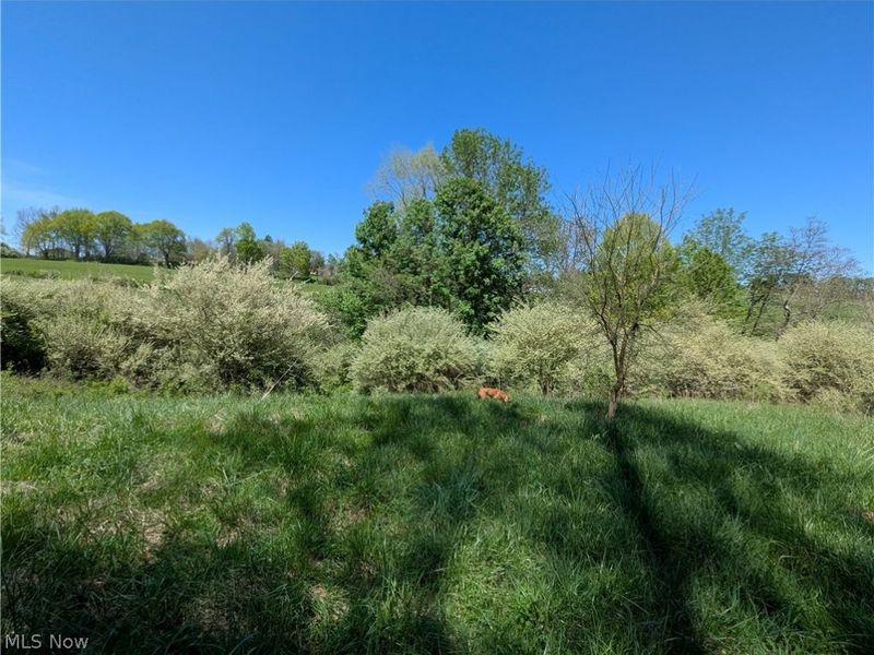 0 Sandy Lane , Chesterhill, OH 43728 Photo 11