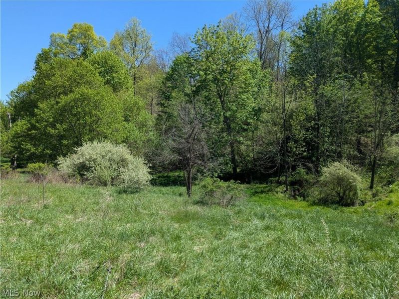 0 Sandy Lane , Chesterhill, OH 43728 Photo 12