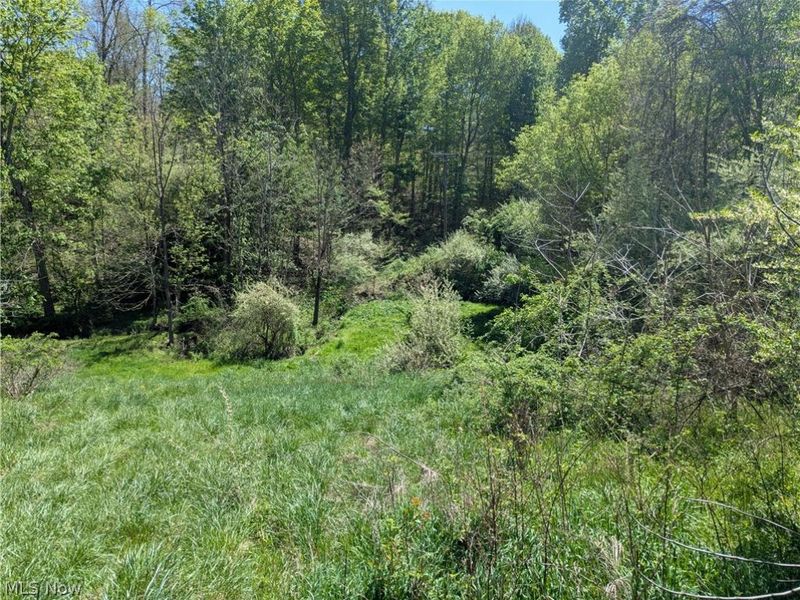 0 Sandy Lane , Chesterhill, OH 43728 Photo 13