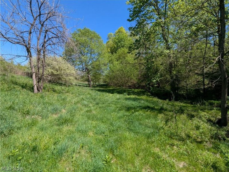 0 Sandy Lane , Chesterhill, OH 43728 Photo 17