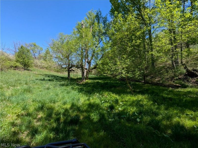 0 Sandy Lane , Chesterhill, OH 43728 Photo 21