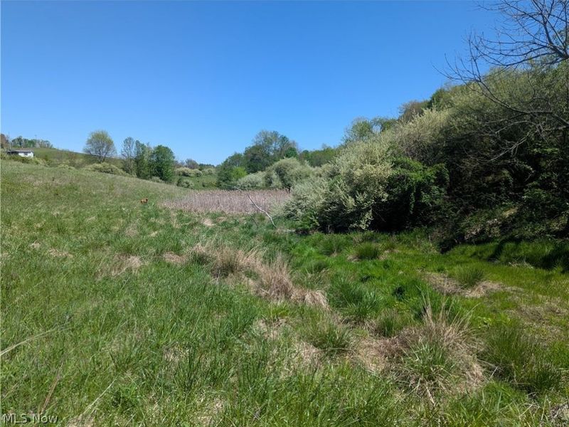 0 Sandy Lane , Chesterhill, OH 43728 Photo 8
