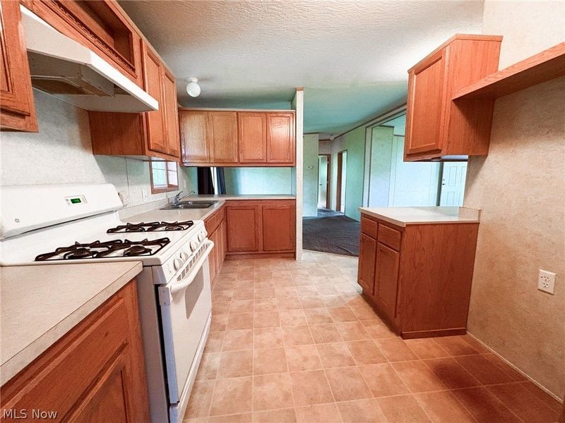 43195 South Avenue, Beallsville, OH 43716 Photo 13