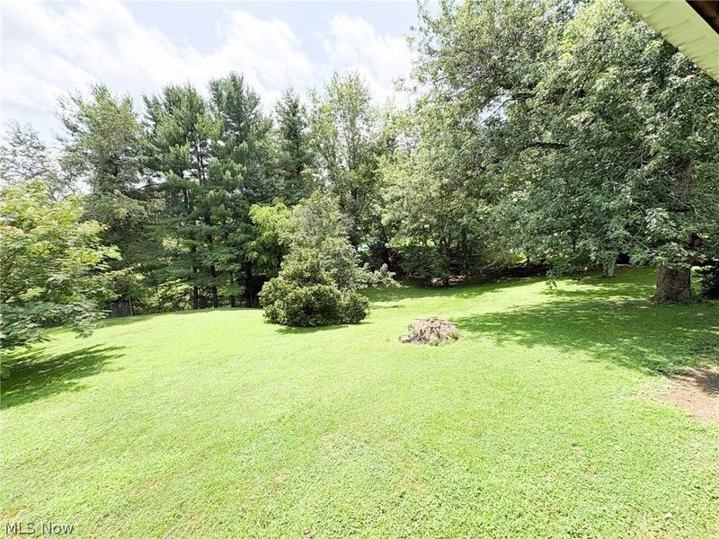 43195 South Avenue, Beallsville, OH 43716 Photo 5