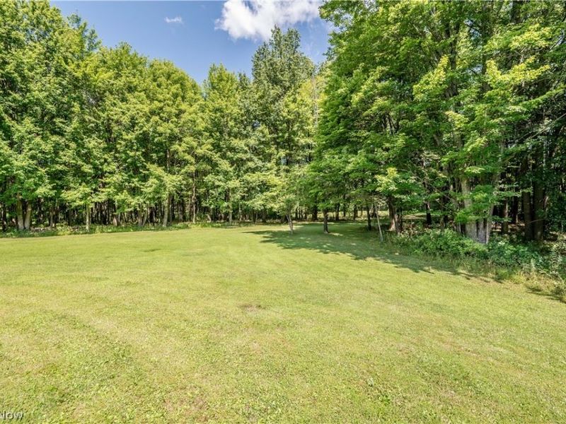 6142 Fairview Road, Austintown, OH 44515 Photo 45