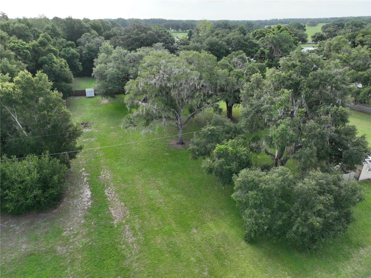 37351 Carringer Road, Dade City, FL 33523 Photo