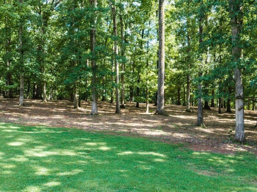 Property Image 62