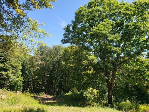 0 Harlow Clark Rd., Huntington, MA 01050