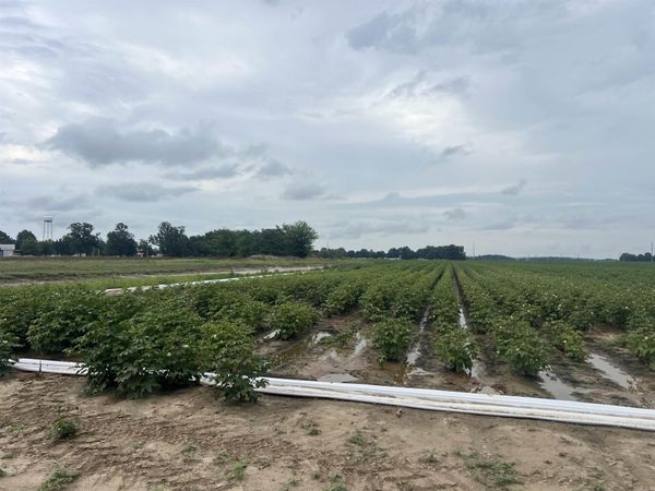 0 clay 312 Road , McDougal, AR 72441