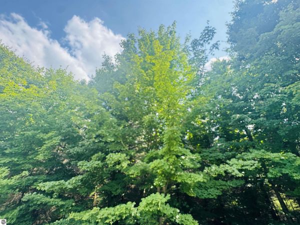 22 Mile Road, Tustin, MI 49688