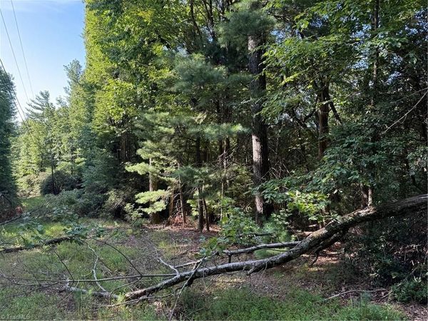 00 Timber Ridge Road , Millers Creek, NC 28651