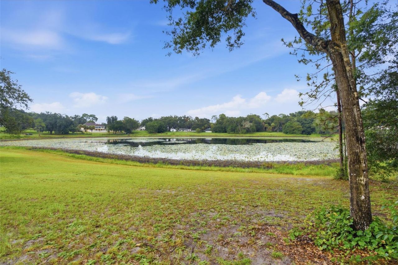 38700 Lakeview Drive , Lady Lake, FL 32159 Photo