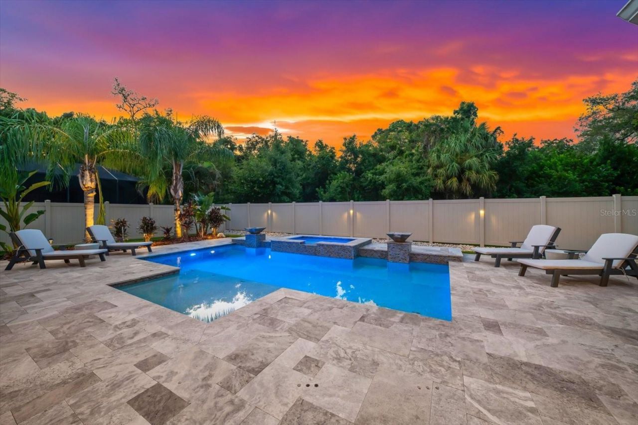 2013 Bee Branch Court, Palm Harbor, FL 34683 Photo