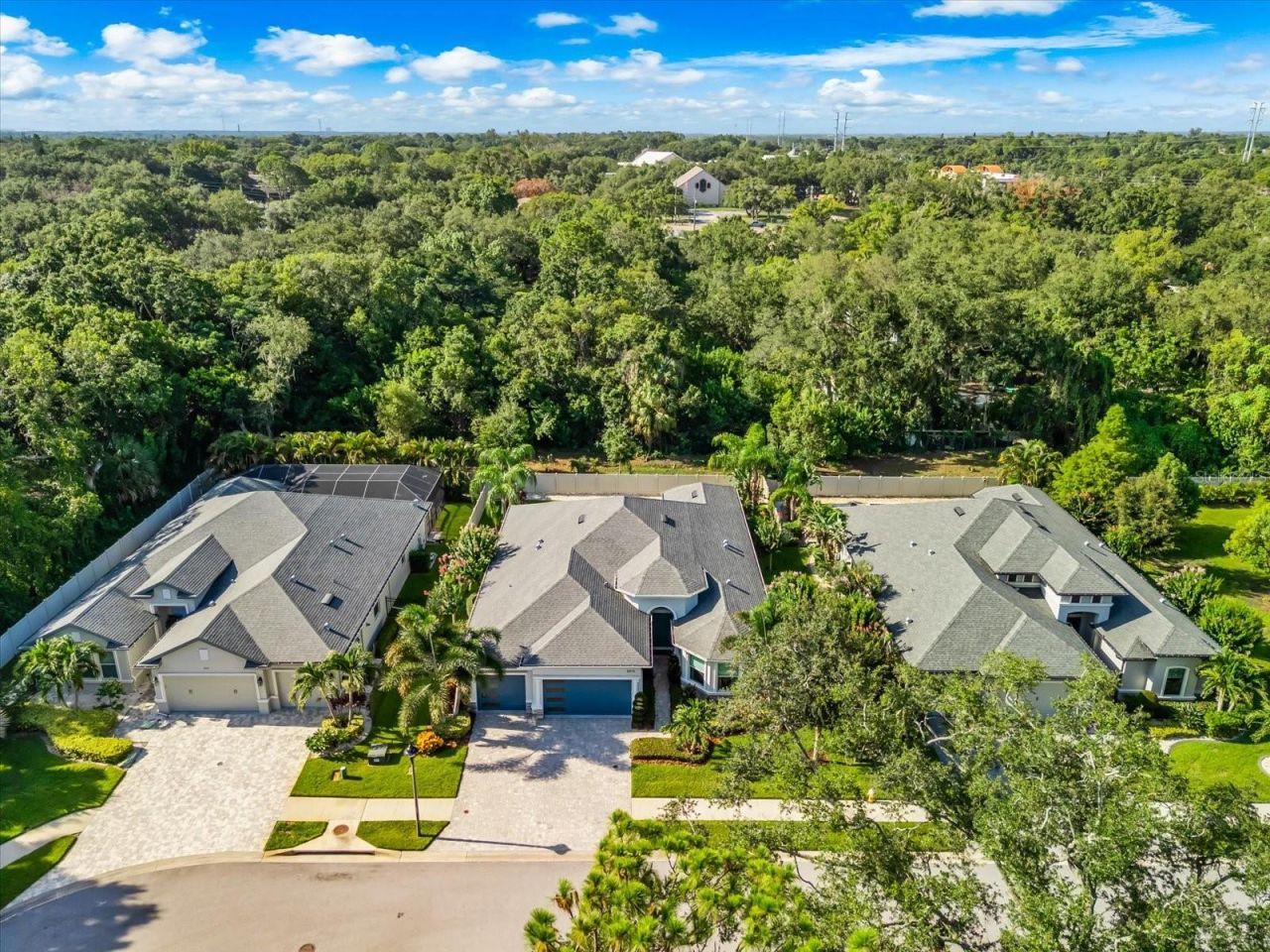 2013 Bee Branch Court, Palm Harbor, FL 34683 Photo