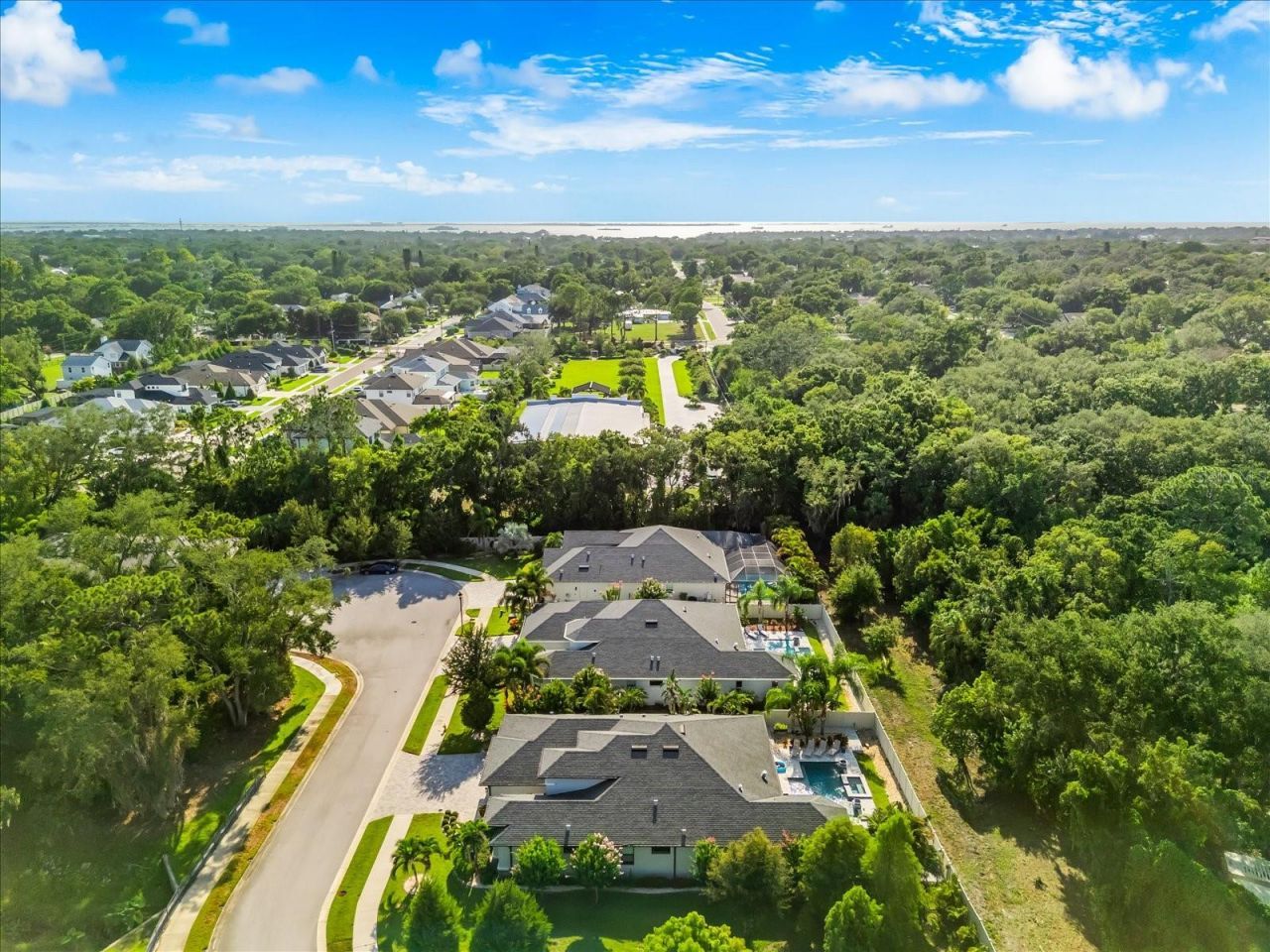 2013 Bee Branch Court, Palm Harbor, FL 34683 Photo