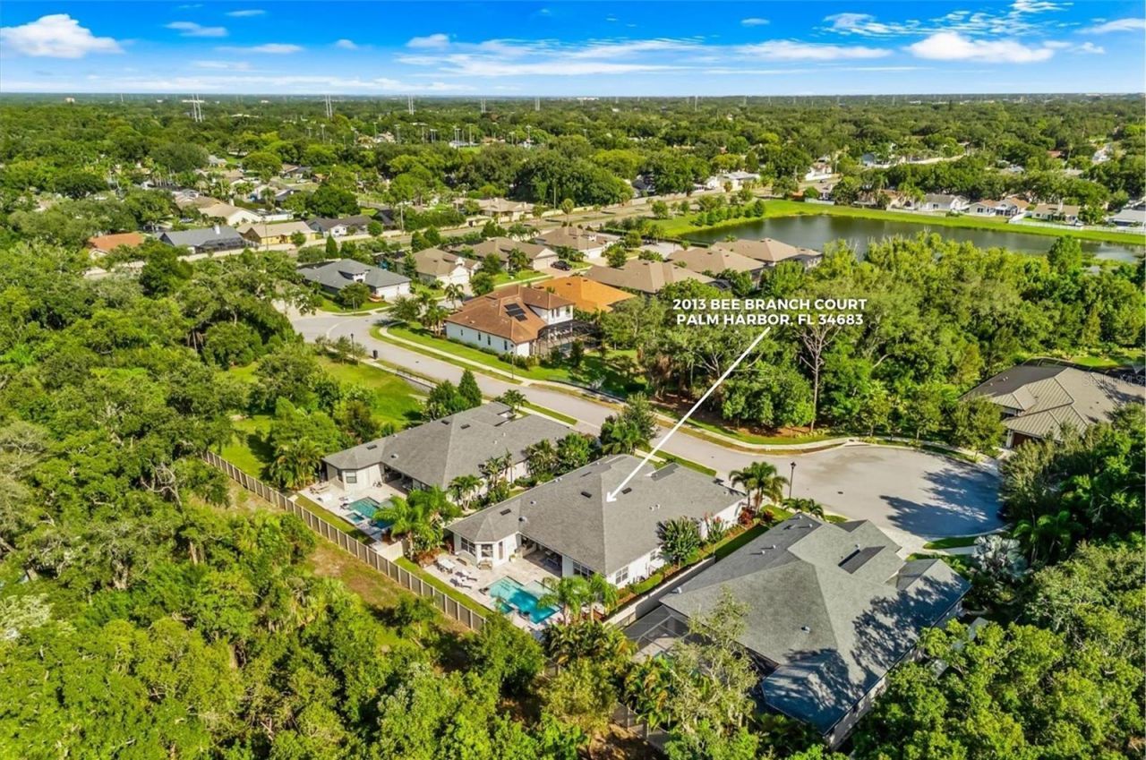 2013 Bee Branch Court, Palm Harbor, FL 34683 Photo