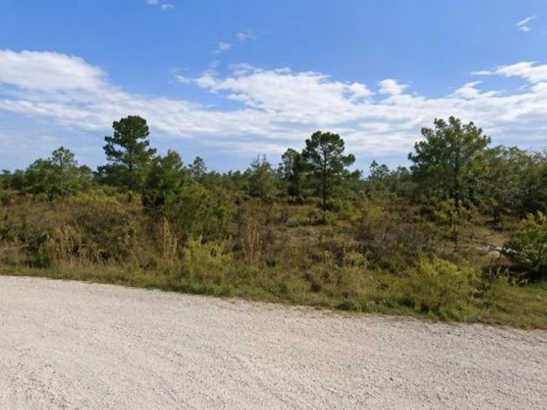 CORAL ROCK DRIVE , WEBSTER, FL 33597