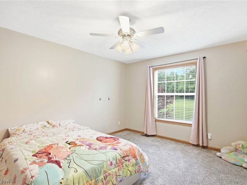 40308 Whitney Road, Lagrange, OH 44050 Photo 24