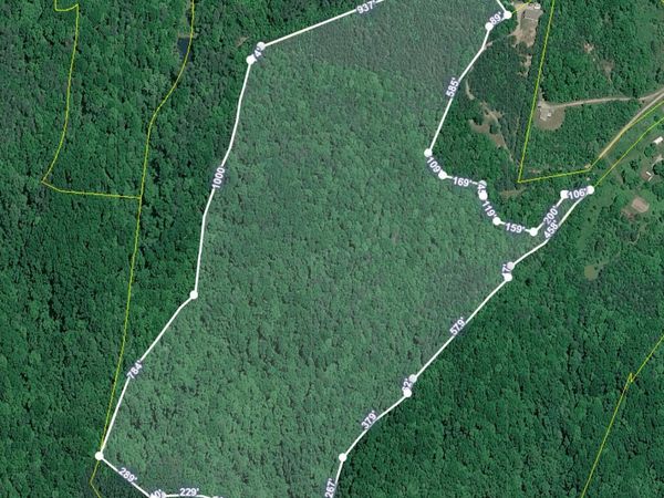 51 acres off Rocky Branch Rd, Rutledge, TN 37861