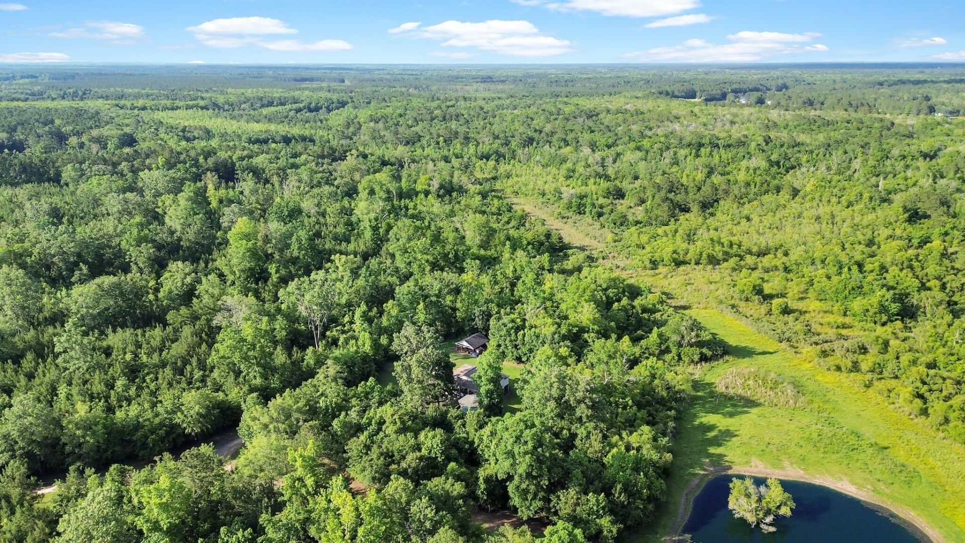 13959 Cottageville Highway Photo 5