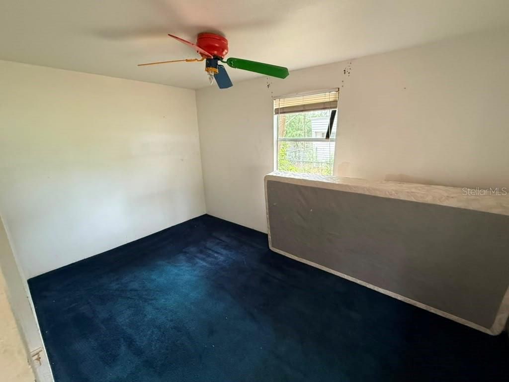 27416 Walnut Avenue, Okahumpka, FL 34762 Photo