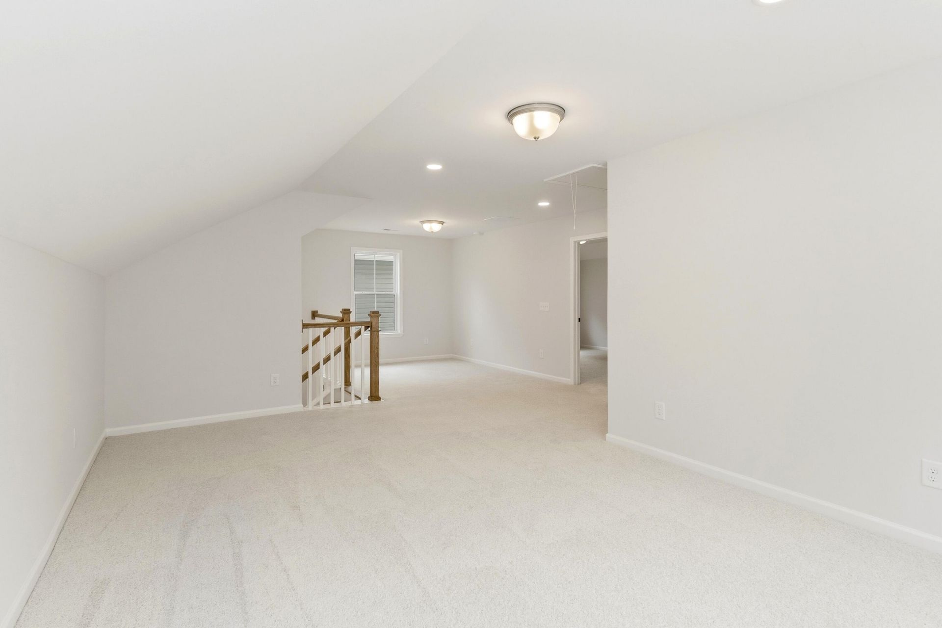 8826 Credence Drive Photo 12