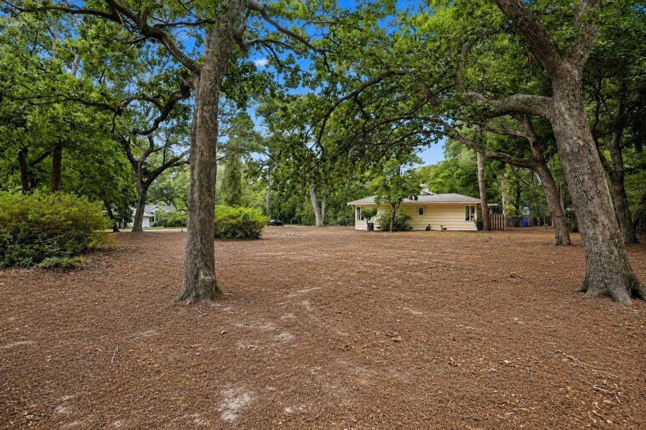 231 Live Oak Ln.  Photo 25