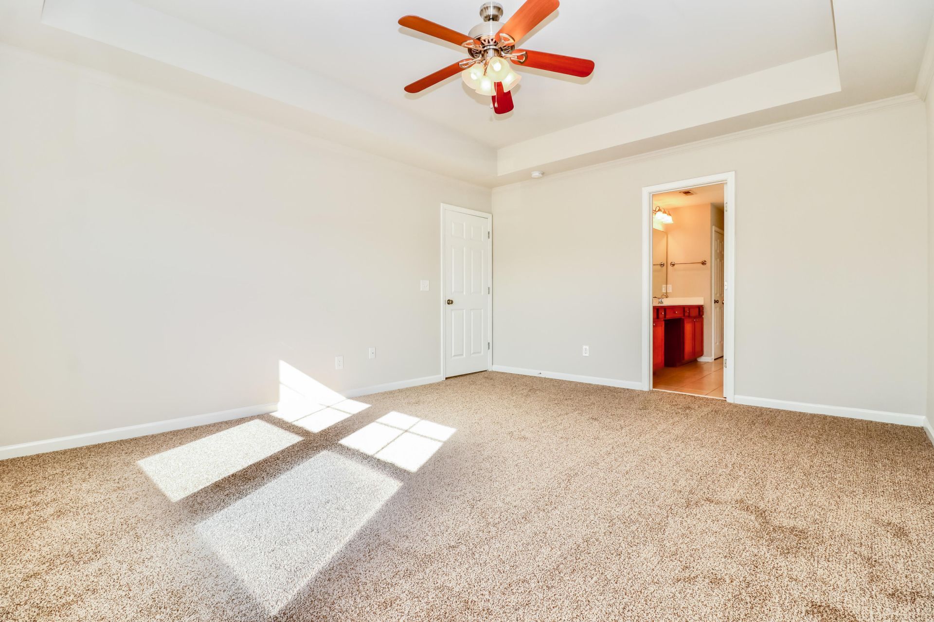 302 Sanctuary Park Drive Photo 10